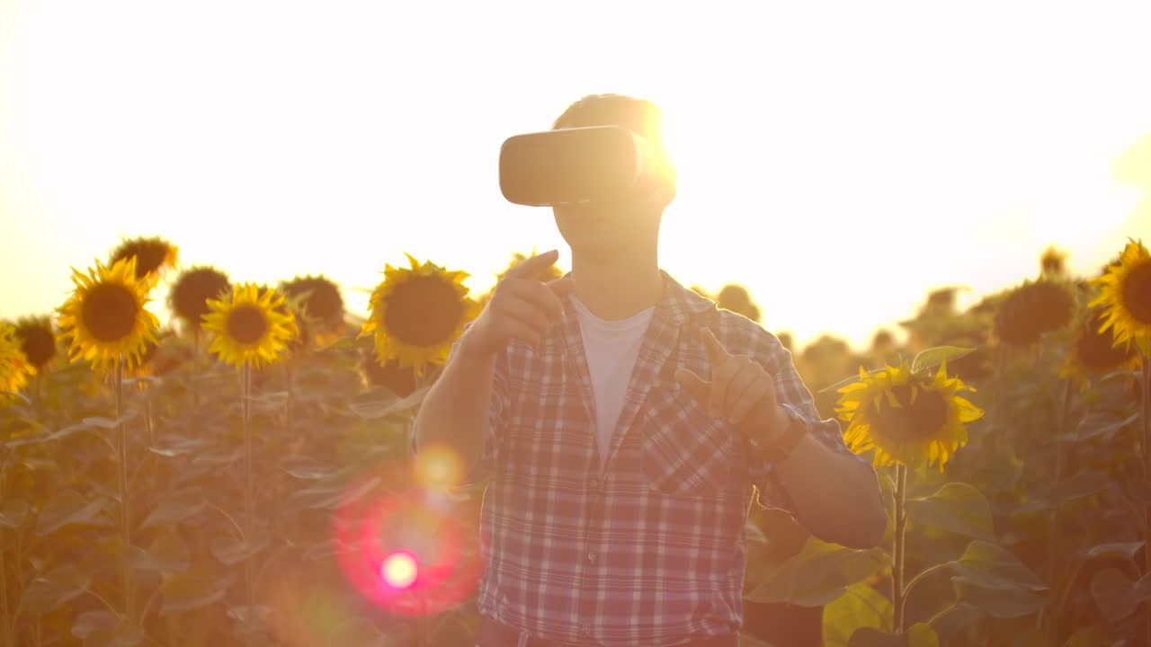 un hombre trabaja con gafas de realidad virtual en el campo con girasoles. estas son nuevas tecnologías.
