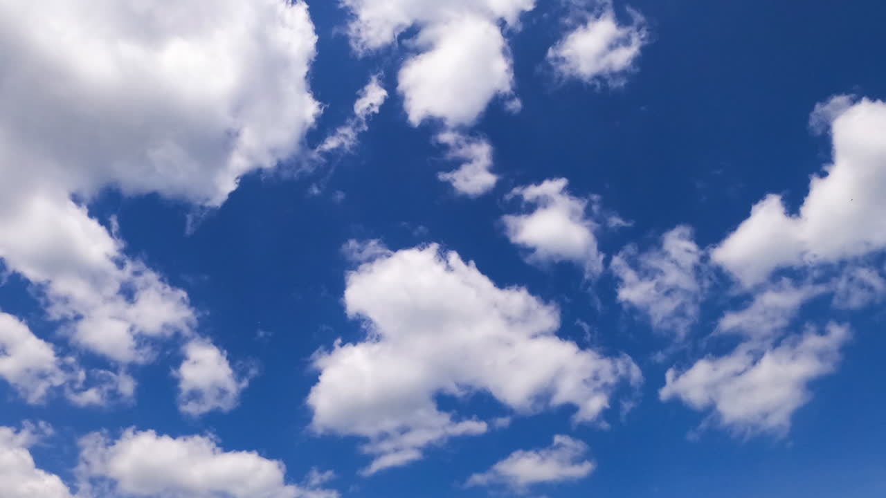 Fluffy white clouds fly in the wind. Soft cumulus clouds move quickly in the azure sky. Low angle view. Timelapse.