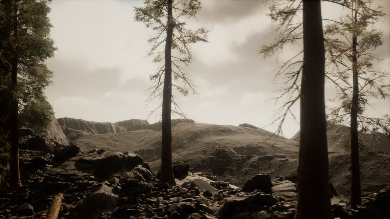 acantilado con árboles y la luz del sol