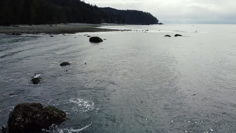 Low-beach-waves-flyover-drone-shot-with-forest-in-the-background