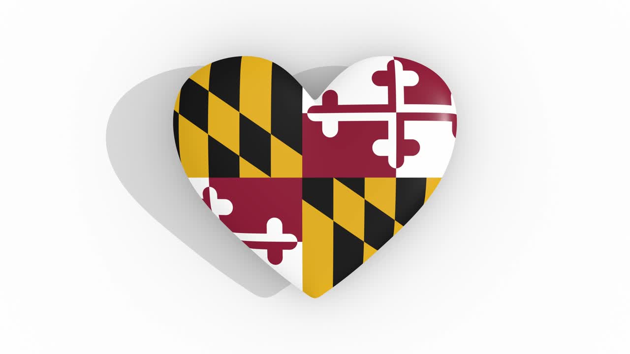 Heart in colors of flag of  Maryland pulses, loop