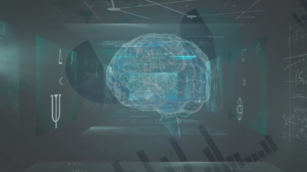 3d 인간 뇌 모델에 대한 수학적 기호와 데이터 처리