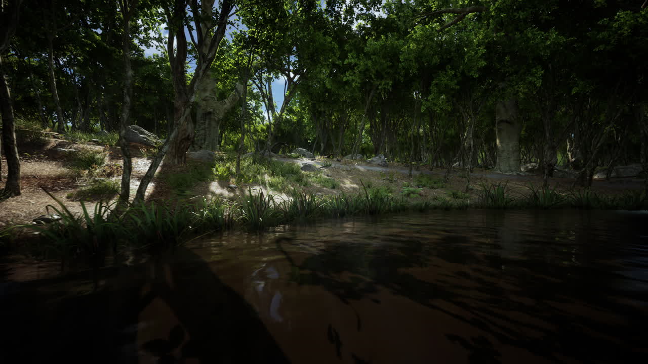 en el estanque del bosque verde de musgo