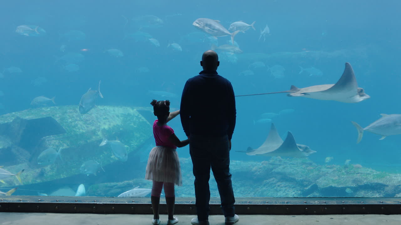 padre con su hija en el acuario mirando el tanque de peces enseñando a un niño curioso sobre la vida marina padre mostrando a su hija animales marinos en el oceanario