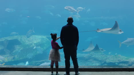 father with little girl at aquarium looking at fish tank teaching curious child about sea life dad showing daughter marine animals in oceanarium