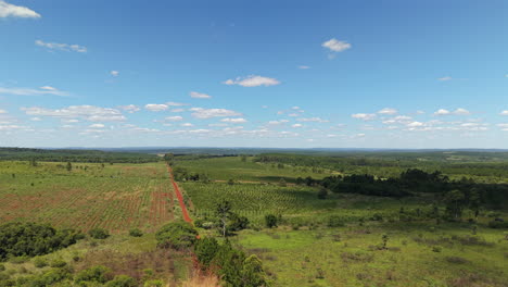 aerial natural landscape of rural agrarian fields and a dirt road in misiones, argentina