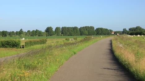 closing in from a distance and follow of middle aged male trail runner on floodplains valley winter dyke asphalt bike path