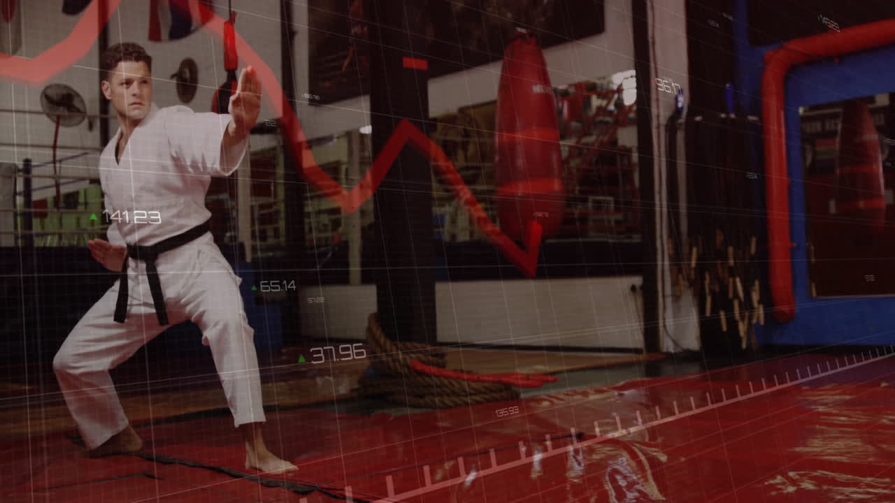 Persona che pratica arti marziali in un dojo, utilizzando un'animazione per la visualizzazione dei dati