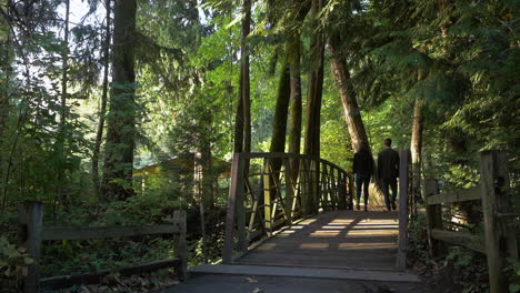 good looking young business professionals walk away from camera together in a park over a beautiful shaded wooden bridge outside in nature on a sunny day in silence.