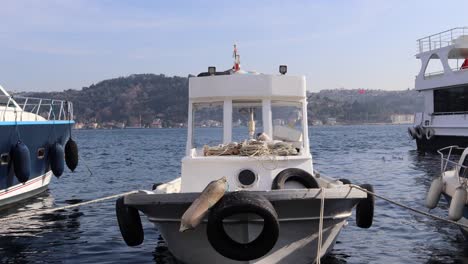 Ferry-Boat-And-Fishing-Boat-Moored-At-Seaport-By-Bosphorus-In-Istanbul,-Turkey