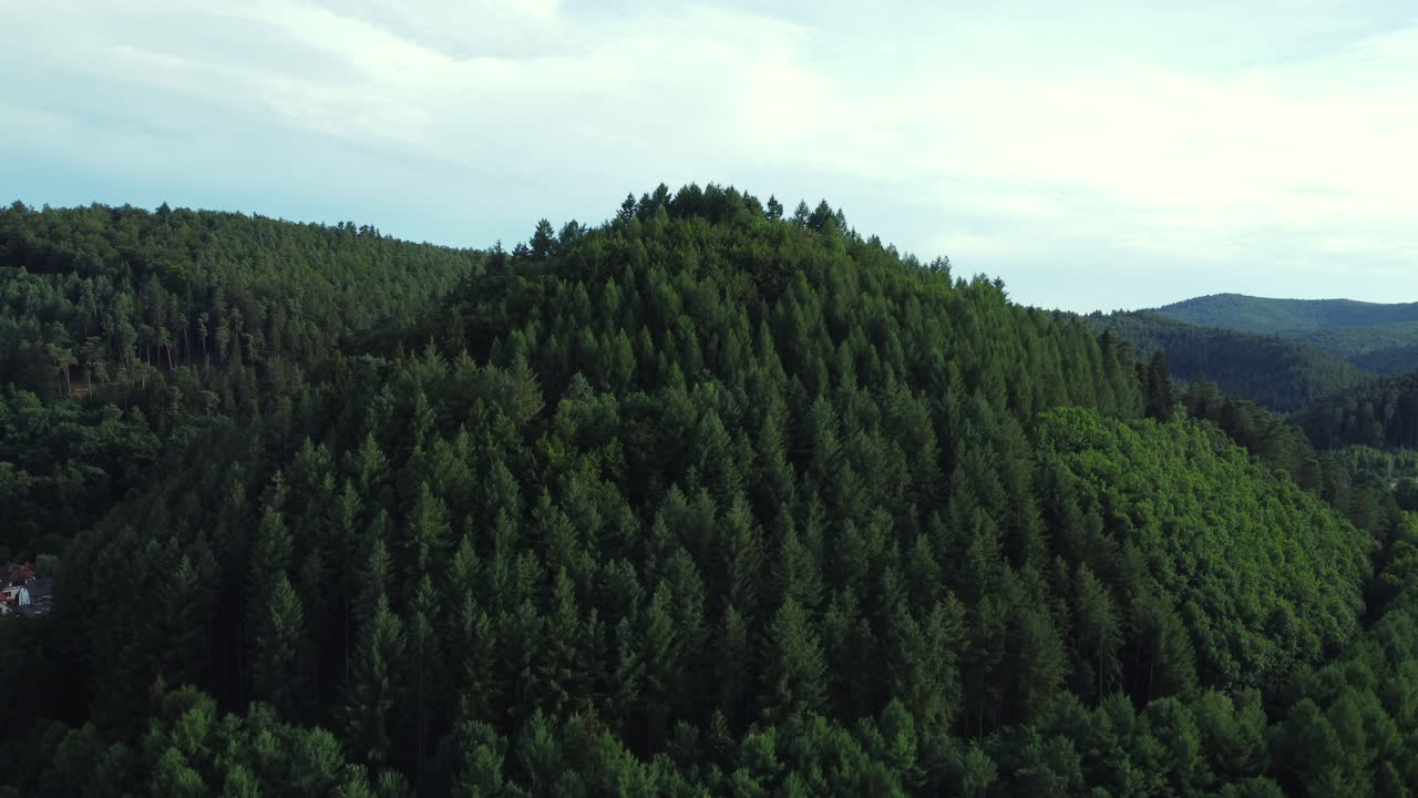 Vista aerea di paesaggio montano boscoso
