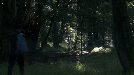 Man-With-Backpack-Walking-Through-Shaded-Woodland-Forest