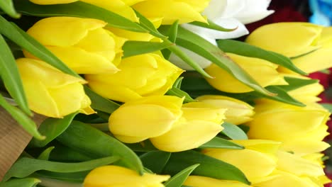 yellow tulips bouquet
