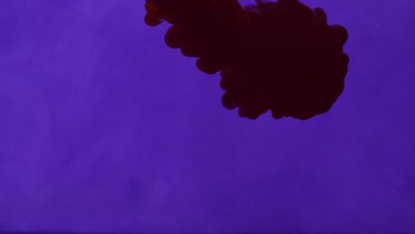 red ink drop into water on a blue background
