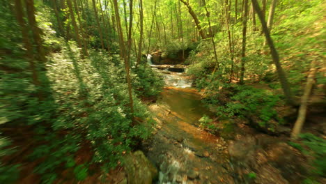 fpv drone shot flying through the forest at ravel cliffs falls