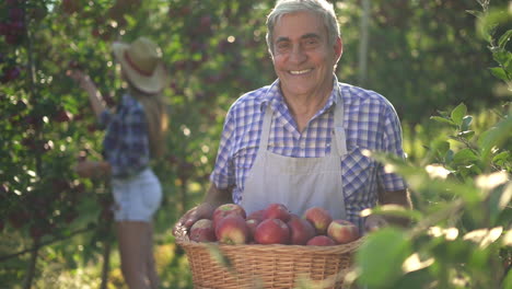 happy farmers harvesting apples in a sunny orchard