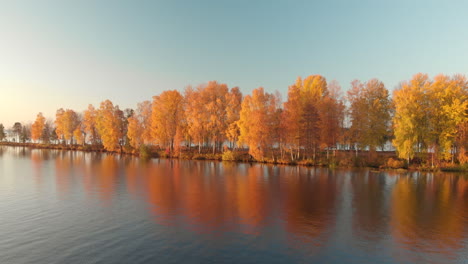 flying over a calm lake towards beautiful yellow trees in october