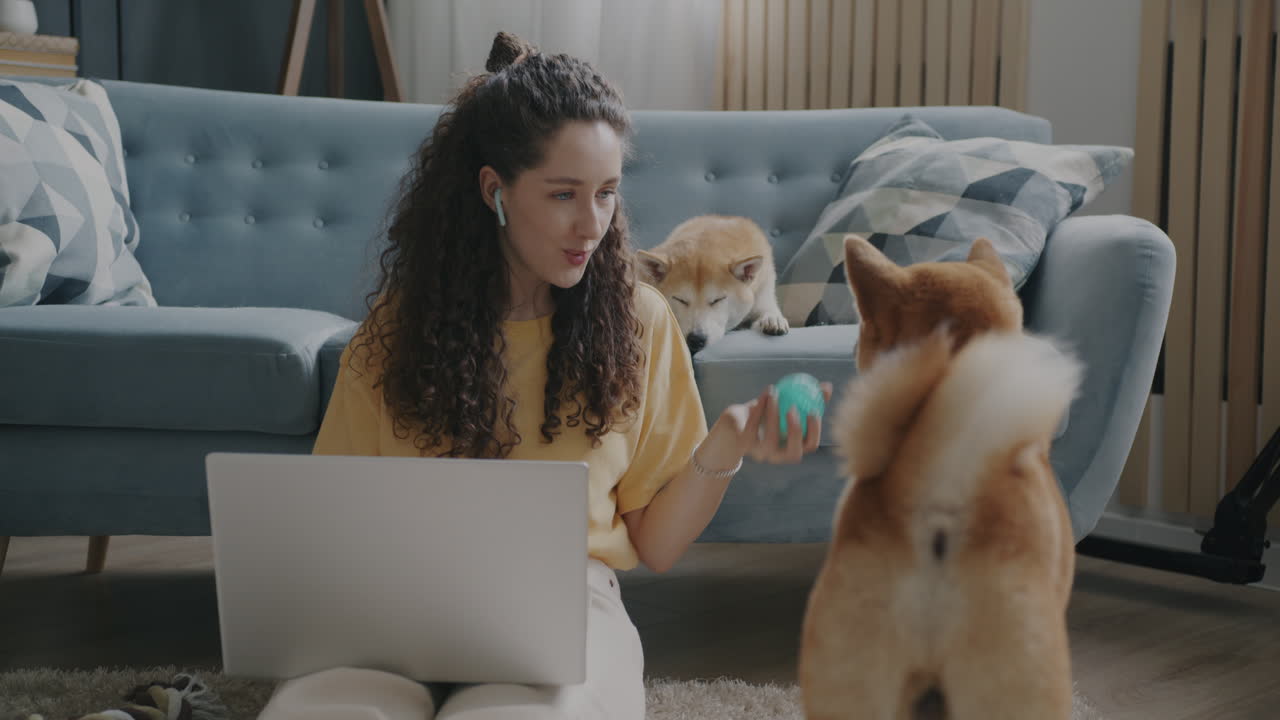 Woman working from home with dogs