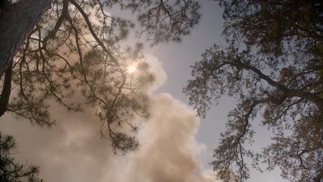 five mile swamp fire in santa rosa county from may 2020