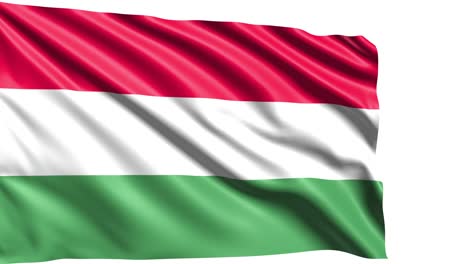 flag of hungary with fabric structure in the wind (alpha channel, loopable)