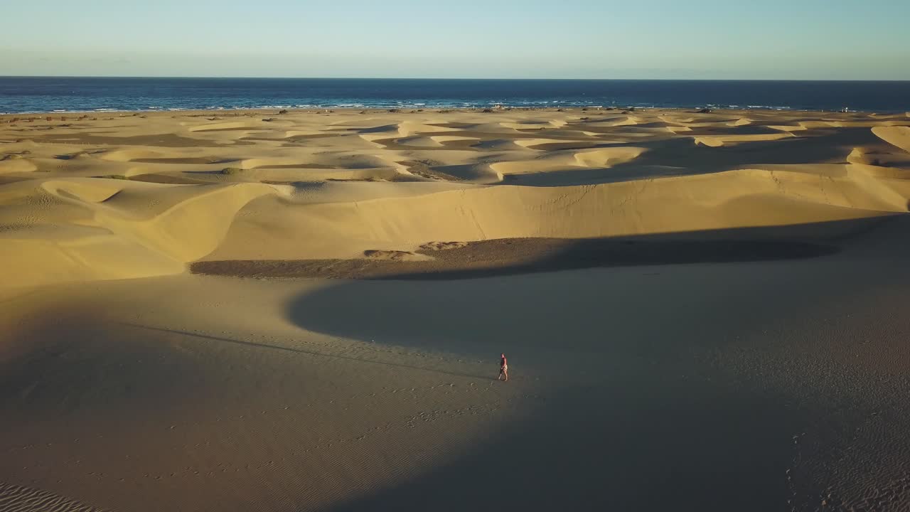 Beautiful 4K aerial shot of person walking in the desert between sand dunes with the ocean in the background while sunset.