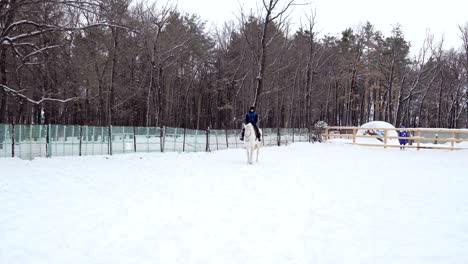 la chica monta a caballo en el paddock. la chica jinete entrena al caballo los movimientos correctos. un día nublado de invierno tranquilo. un poco de nieve cae.