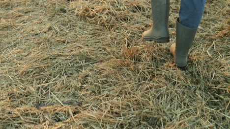 back view on the caucasian farmerin the field