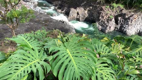 las ollas hirviendo del río wailuku en hilo, isla grande, hawaii