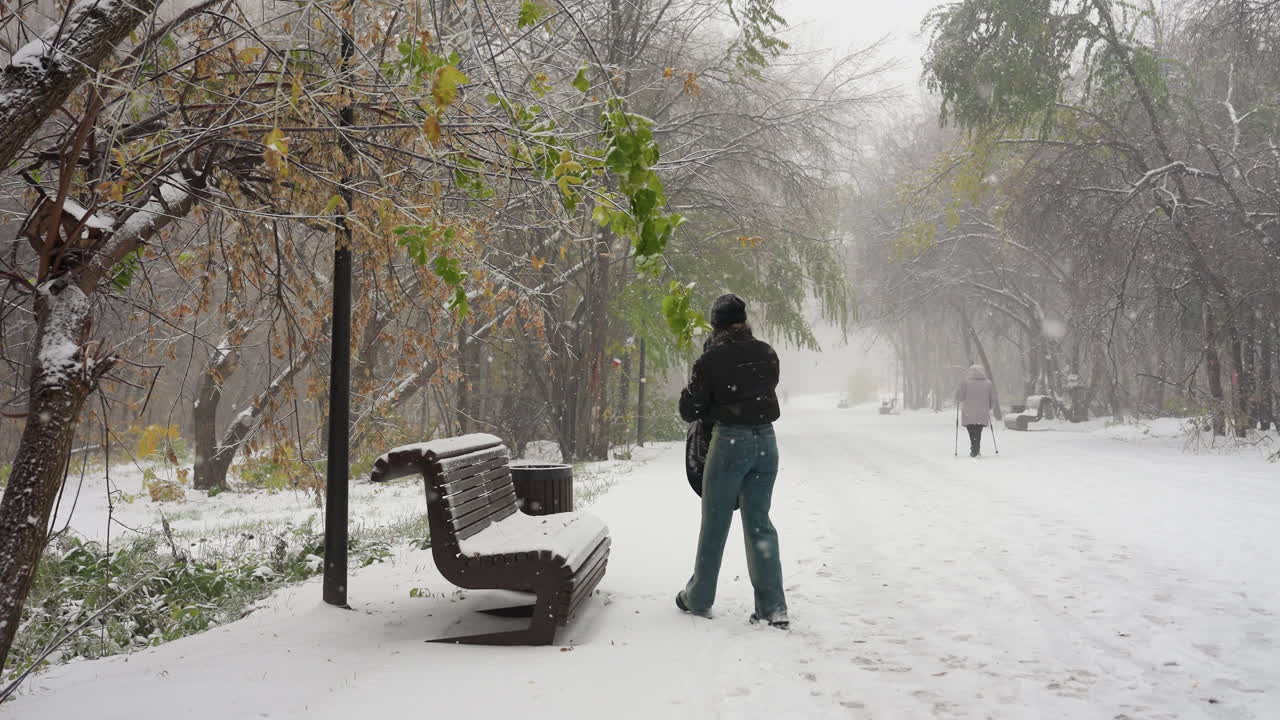그 여자는 기타 을 꺼내서 눈으로 인 벤치 위에 놓는다. 냉정한 겨울 공원, 얼어붙은 나무, 그리고 부드럽게 내리는 눈 아래 눈 인 길을 고 있는 멀리 있는 인물.
