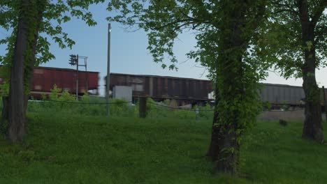 Freight-Train-with-Hopper-cars-in-the-bushes