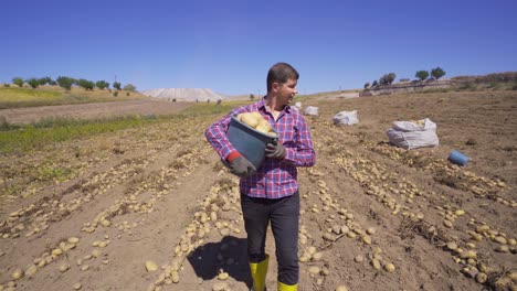 el granjero está caminando por el campo con un cubo lleno de patatas.
