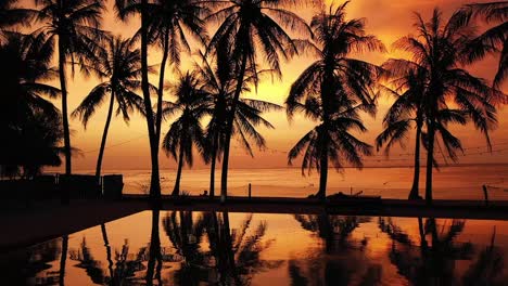 excellent tracking aerial shot of sunset over the beach and water of the rote islands, indonesia