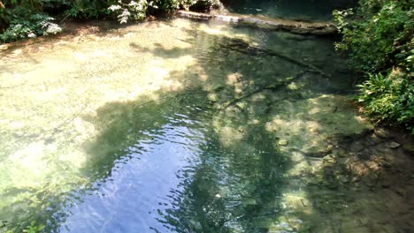 crystal clear freshwater pond, with a camera lift revealing a beautiful waterfall