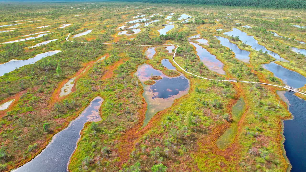 Explore the stunning aerial view of Kemeri swamp in Latvia's nature