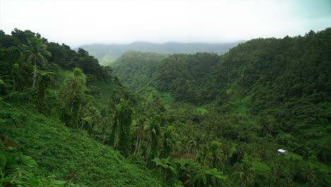 Tavarua-Falls-Wasserfall-Strand-Spaziergang-Dschungel-Berg-Taveuni-Garten-Insel-Korallen-Küste-Riff-Bruch-Sand-Tropisch-Friedlich-Wellen-Krachend-Küstenlinie-Palme-Kokosnussbäume-Regnerisch-Bewölkt-Langsam-Schwenken-Rechts