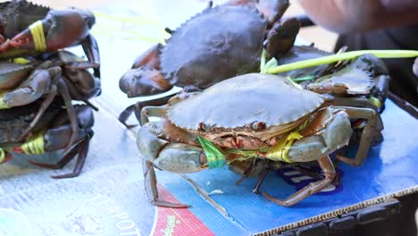 crabs tied with leaves on a table in phuket, thailand. natural lighting highlights their shells, creating a vibrant market scene