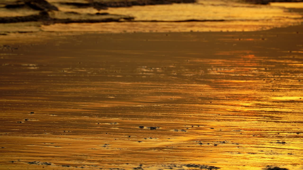 una puesta de sol reflectante naranja brillando en la playa de arena con contaminación entrando en las olas del océano