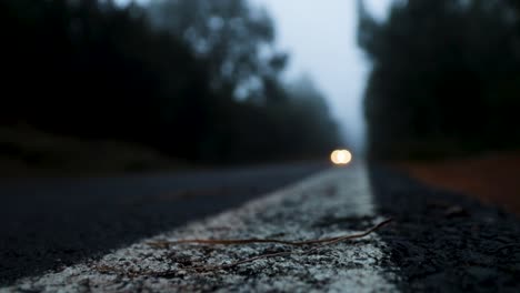 foggy road in the dark, misty forest at late autumn with a car coming that is out of focus, tenerife