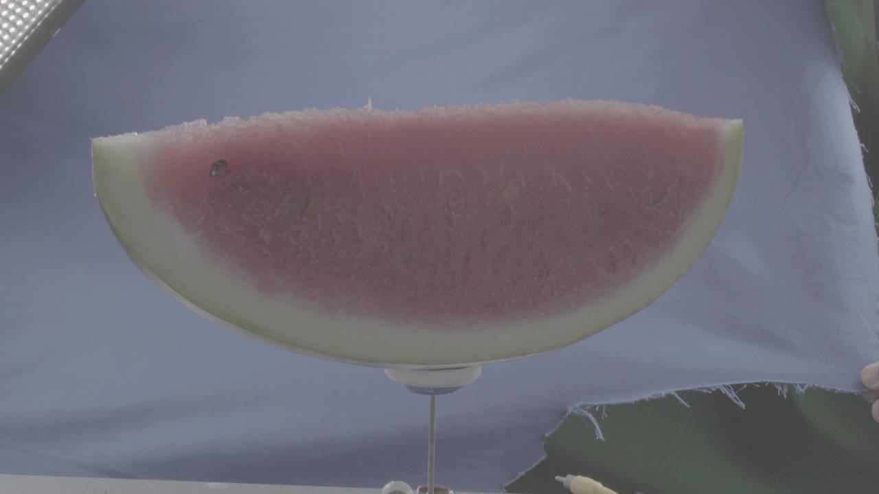 sandía girando con bucle en pantalla azul para la llave de croma