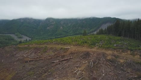 4k-aerial-drone-fly-over-logging-field-in-the-Pacific-Northwest