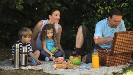 family feasting at a picnic