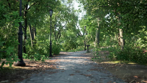 walking trails in the park