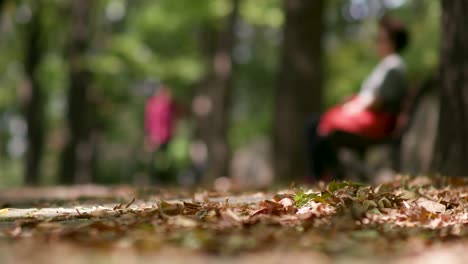 skateboarder rides through pile of dry leaves in sunlight