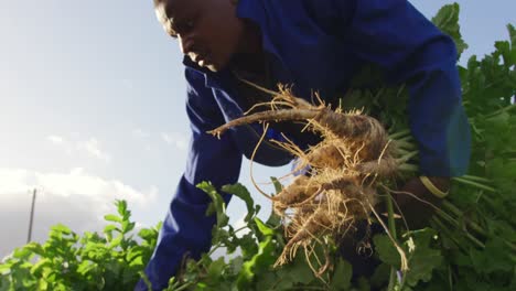 Young-man-working-on-farm