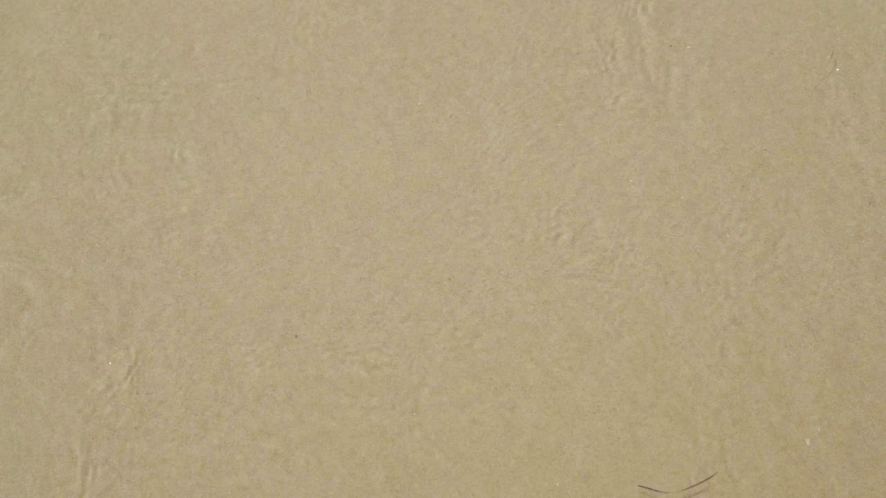 맑은 바닷물, 슬로우 모션으로 해변 해안의 얇은 파도