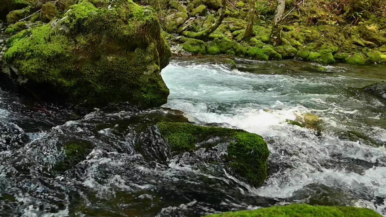 Elk river running through rocks, Oregon. Slow-motion