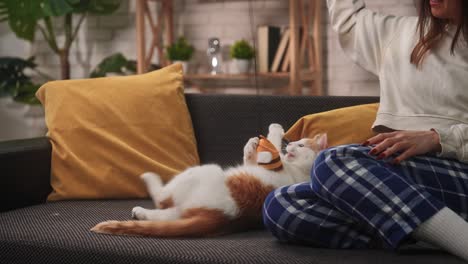 woman playing with cat at home a young woman in plaid pajamas sits on the sofa and plays with a soft toy in the form of a bee with her cat the cozy interior features indoor plants and warm lighting