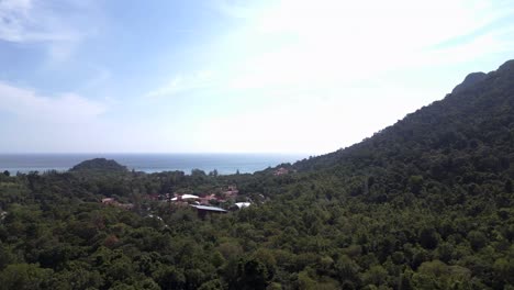 ecosistema saludable dosel verde de la selva que cubre las laderas de los espectaculares picos de las montañas en langkawi, malasia