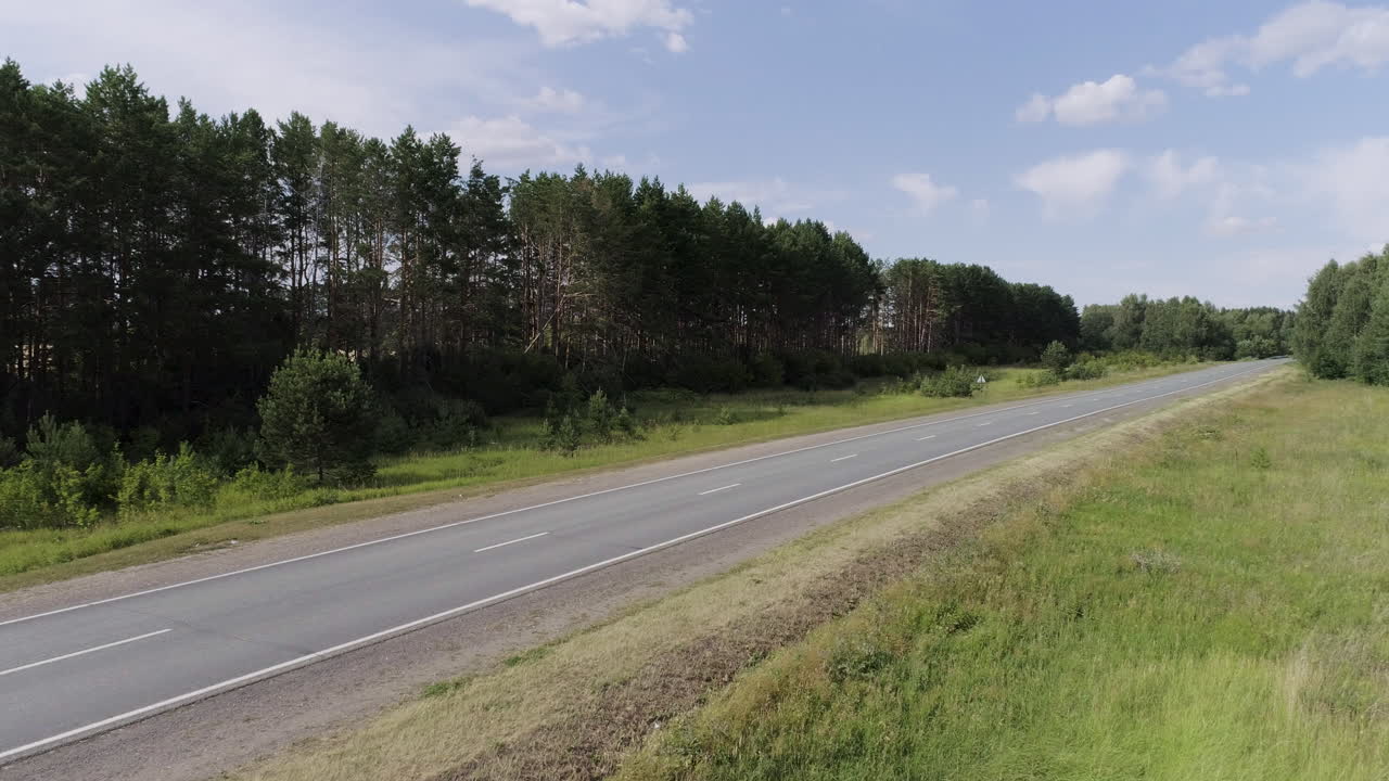 숲을 가로지르는 시골 도로