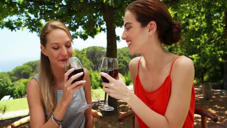 Female-friends-toasting-glasses-of-red-wine-4k